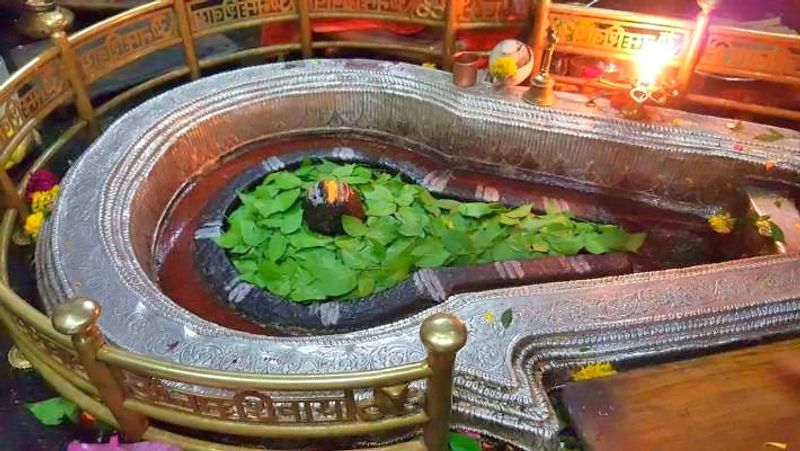 भीमाशंकर ज्योतिर्लिंग मंदिर के विषय में मान्यता है कि जो भक्त श्रृद्धा से इस मंदिर के प्रतिदिन सुबह सूर्य निकलने के बाद दर्शन करता है, उसके सात जन्मों के पाप दूर हो जाते हैं तथा उसके लिए स्वर्ग के मार्ग खुल जाते हैं।