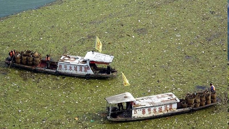 ऐसा नहीं है कि इन नदियों की सफाई के प्रति सरकार का ध्यान नहीं है। लेकिन कई सालों से इनकी सफाई चलने के बावजूद हालत बदतर ही हैं।