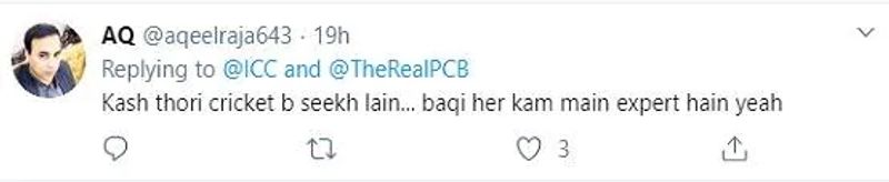 एक अन्य फैन ने लिखा- काश थोड़ी क्रिकेट भी सीख लेतीं... बाकी हर काम में एक्सपर्ट हैं ये।