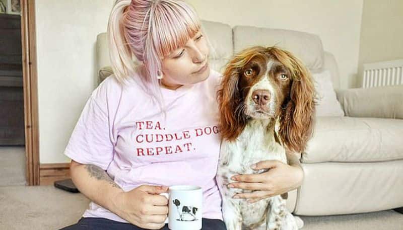 a pet dogs hairstyle goes viral in social media