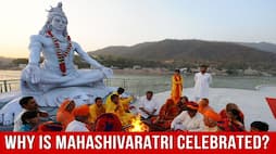 All You Need To Know About The Festival Of Maha Shivaratri