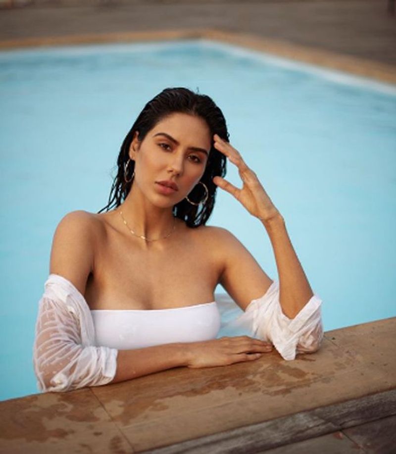 Punjabi actress Sonam Bajwa is one of the hottest celebs
