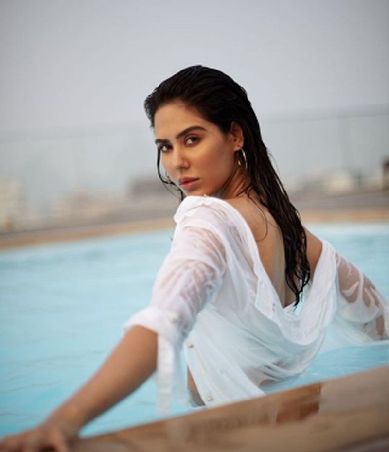 Punjabi actress Sonam Bajwa is one of the hottest celebs