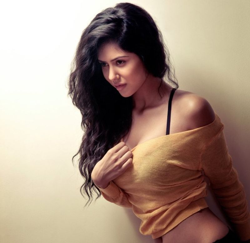 Punjabi actress Sonam Bajwa is one of the hottest celebs