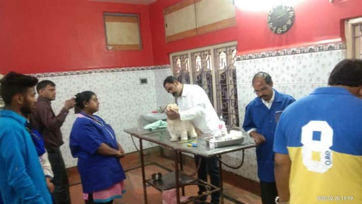 Love your pet day celebration at chuchura Love your pet day celebration at chuchura