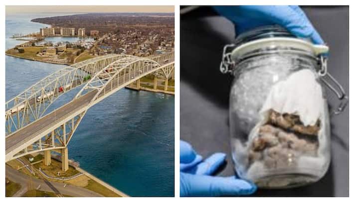 Human Brain seized in mail truck on US-Canada border Human Brain seized in mail truck on US-Canada border