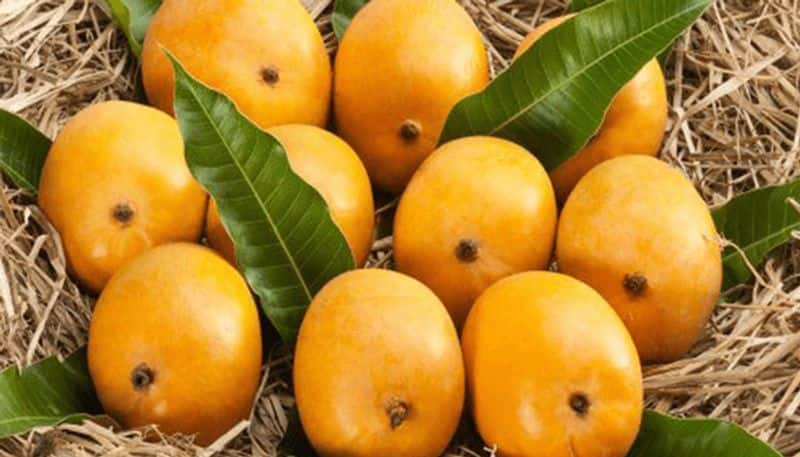 Simple and easy recipes with mangoes in summer