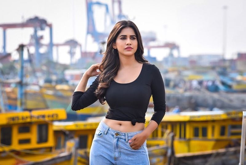 Nabhanatesh hot stills