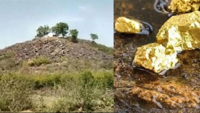 जियोलॉजिकल सर्वे ऑफ इंडिया के डायरेक्टर डॉक्टर जी.एस तिवारी ने बताया कि सोनभद्र की खदान में 3000 टन सोने मिलने की जीएसआई पुष्टि नहीं करता है। एक न्यूज चैनल के मुताबिक जीएसआई के डायरेक्टर के कहा कि सोनभद्र में सिर्फ 52806.25 टन स्वर्ण अस्यक मिला है न कि शुद्ध सोना।