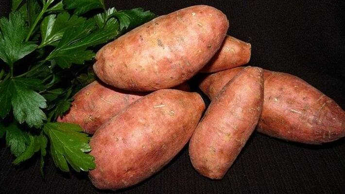 Sweet potato can protect cancer Sweet potato can protect cancer