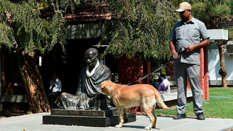 अमेरिकी राष्ट्रपति की सुरक्षा में साबरमती आश्रम में पहले से ही स्निफर डॉग तैनात कर दिए गए हैं। हर जगह किसी भी तरह की आतंकी साजिश को नाकाम करने की पूरी तैयारी की जा चुकी है।