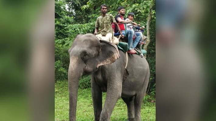 Forest department decides to stop elephant Safari in Jaldapara National Park Forest department decides to stop elephant Safari in Jaldapara National Park