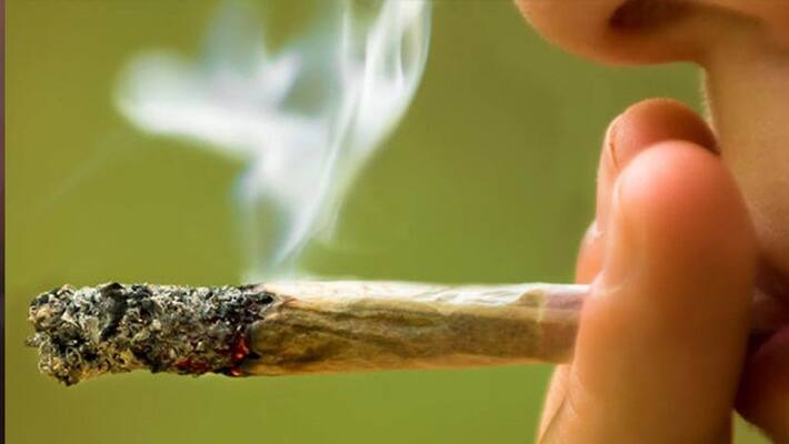 Four People Arrest for Consumption of marijuana in Sakaleshpura Hassan District Four People Arrest for Consumption of marijuana in Sakaleshpura Hassan District