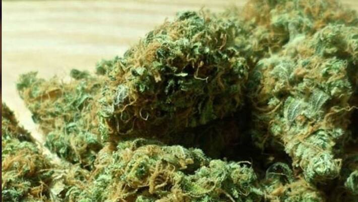 RPF seized seven and a half kilograms of cannabis which was being smuggled on the train RPF seized seven and a half kilograms of cannabis which was being smuggled on the train
