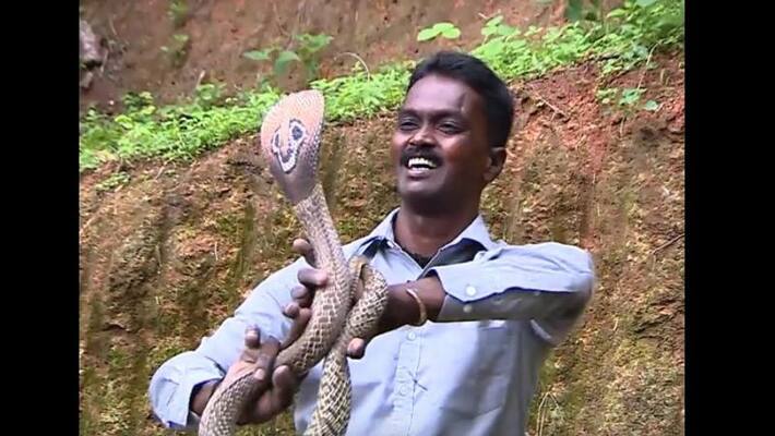 Uthra dies of second snake bite within a month Vava Suresh responds Uthra dies of second snake bite within a month Vava Suresh responds