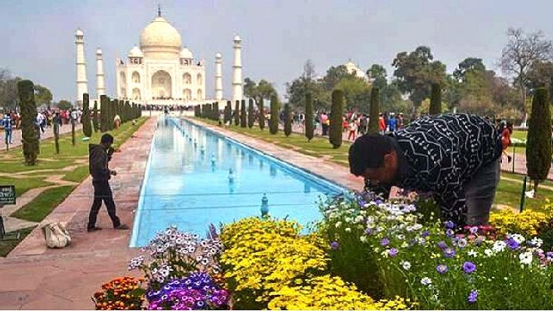 ताज परिसर में भी फूलों से सजावट की गई है। ताज परिसर में किए गए इस सजावट को देखकर लोग मंत्रमुग्ध हो जा रहे हैं।