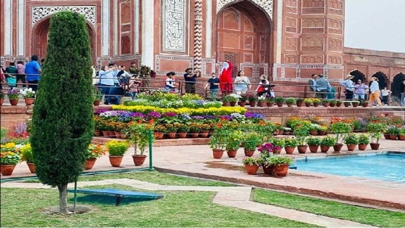 पूर्वी गेट से ताजमहल के रॉयल गेट पर फूलों के गमले रखे गए हैं। जिससे धवल ताजमहल में सतरंगी नजारा नजर आ रहा है।