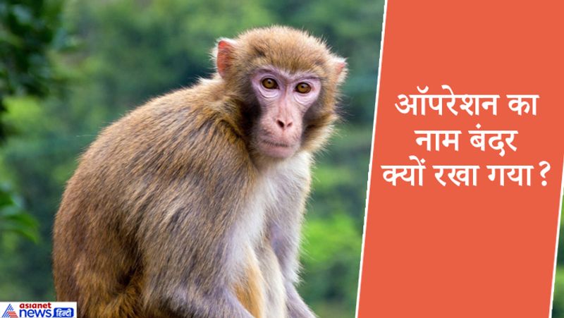 उन्होंने बताया, यह ऑपरेशन की सफलता बताने के लिए कोड वर्ड रखा गया था। 25 फरवरी को मेरी फेयरवेल चल रही थी। उस वक्त वायुसेना प्रमुख बीएस धनोआ ने मुझसे अकेले में पूछा कि सब कुछ ठीक चल रहा है। उन्होंने कहा, ऑपरेशन सफल हो जाए और सभी सुरक्षित लौट आएं तो कॉल करके 'बंदर' कहना। बंदर को सफल मिशन का कोडवर्ड रखा गया था।