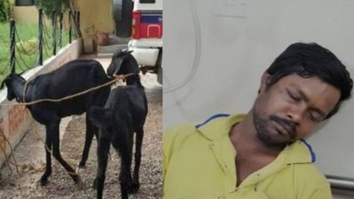 Man allegedly rapes a goat in Kalna at East Burdwan Man allegedly rapes a goat in Kalna at East Burdwan