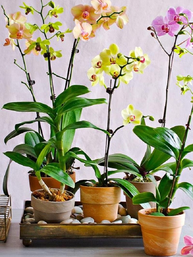 According to Astrology in these way get Wealth & Prosperity