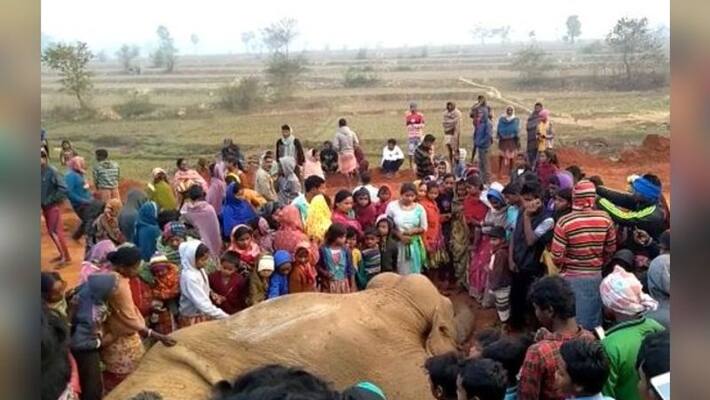 Elephant crushed to death by train in Susunia Elephant crushed to death by train in Susunia
