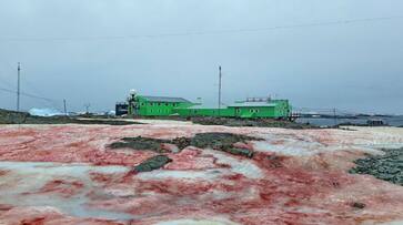 After red, Antarctica's snow is turning green After red, Antarctica's snow is turning green