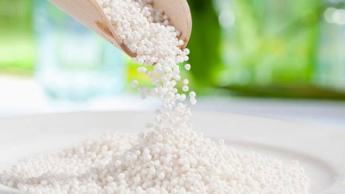 Sago is a healthy food Sago is a healthy food