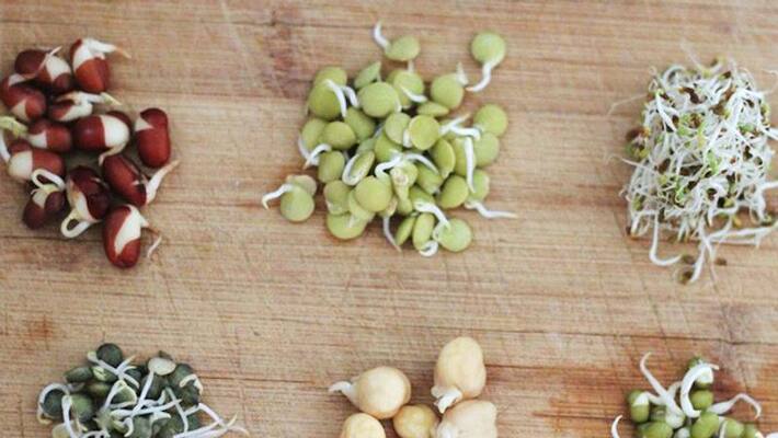 Keep these things in mind before eating sprouts Keep these things in mind before eating sprouts