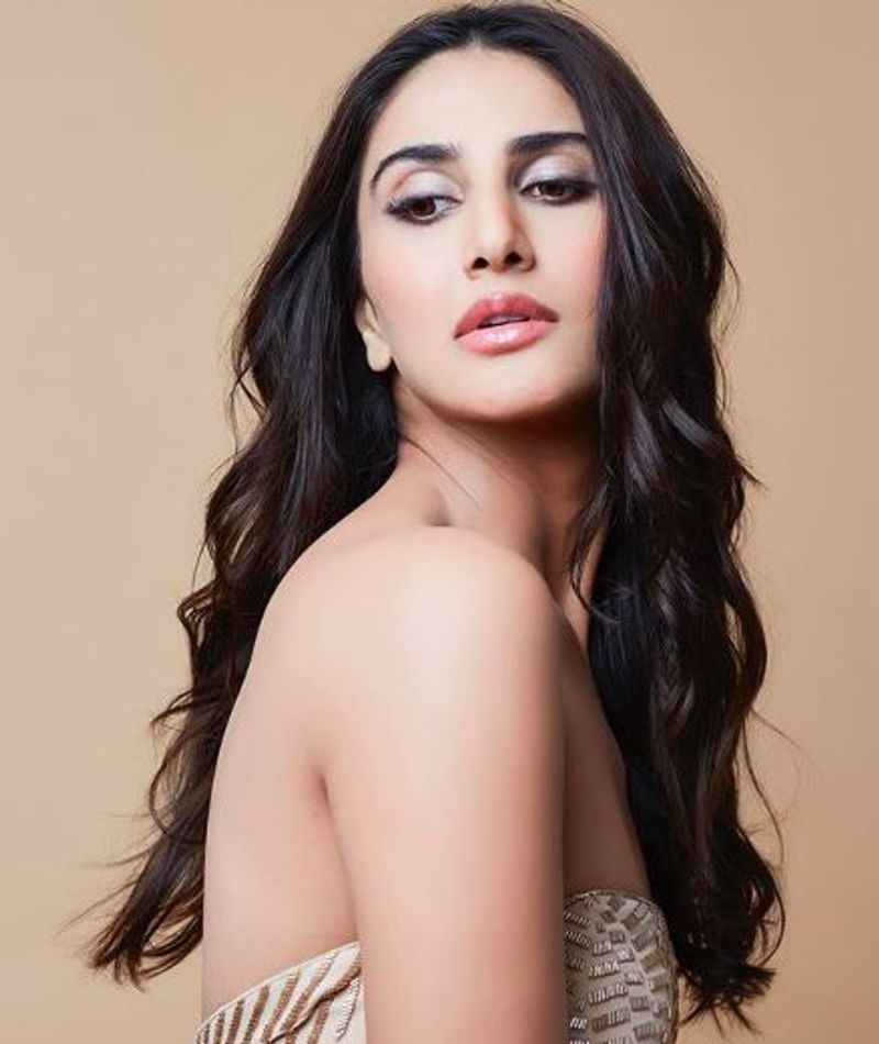Actress Vaani Kapoor Hot Clicks