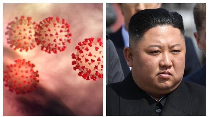 North Korea insists it is free of coronavirus North Korea insists it is free of coronavirus