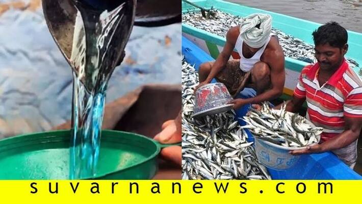 Kerosene quantity to fishermen to be increased Kerosene quantity to fishermen to be increased