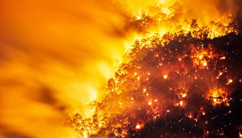 Scientist said that for the four reasons the Earth will actually die