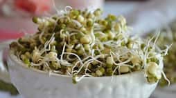 reasons eating sprouts should be a part of your daily diet