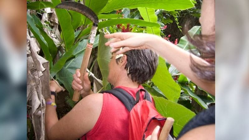 Poor student unable to afford notebook creates copies with banana leaves wins people heart kph