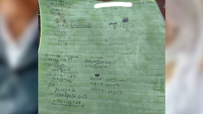 Poor student unable to afford notebook creates copies with banana leaves wins people heart kph