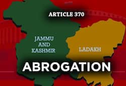 Abrogation of Article 370: How people sitting in cozy rooms in California provoke Kashmiris to pick up guns