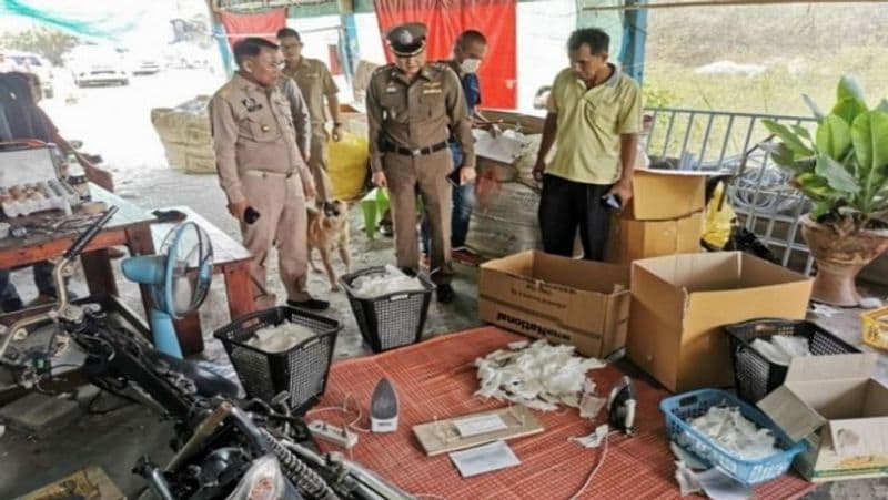 People buying corona virus bringing it home in a box and embracing death MJA