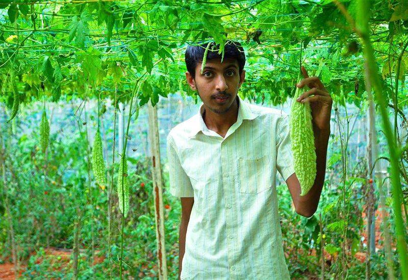 success story of sooraj from wayanadu who loves farming