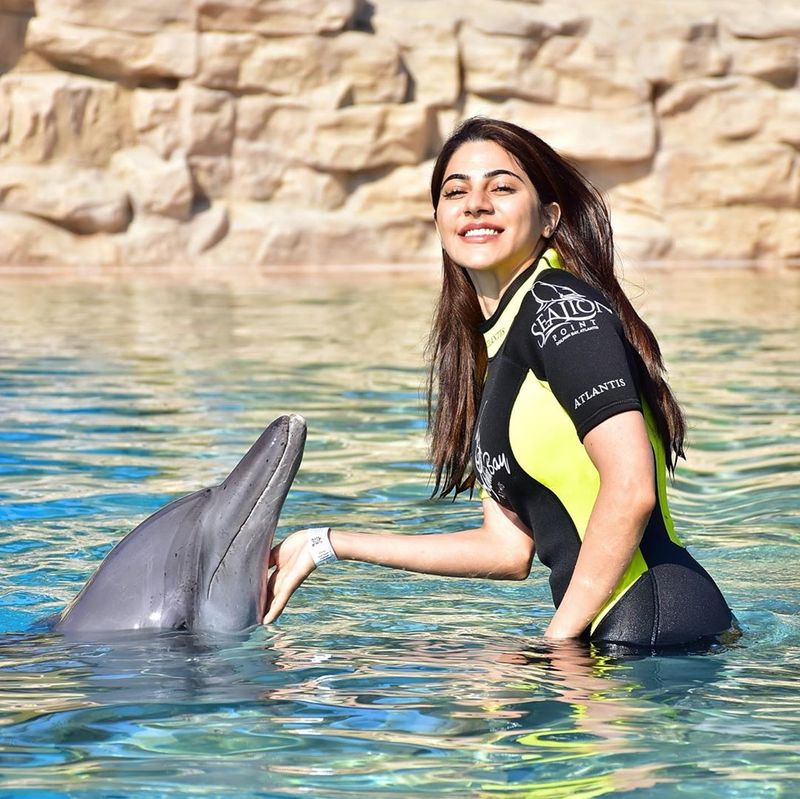 Nikki tambali hot stills