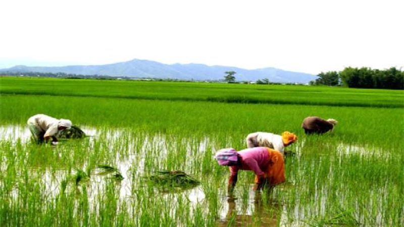 namtamilnar party seeman alert government for save former's and agriculture