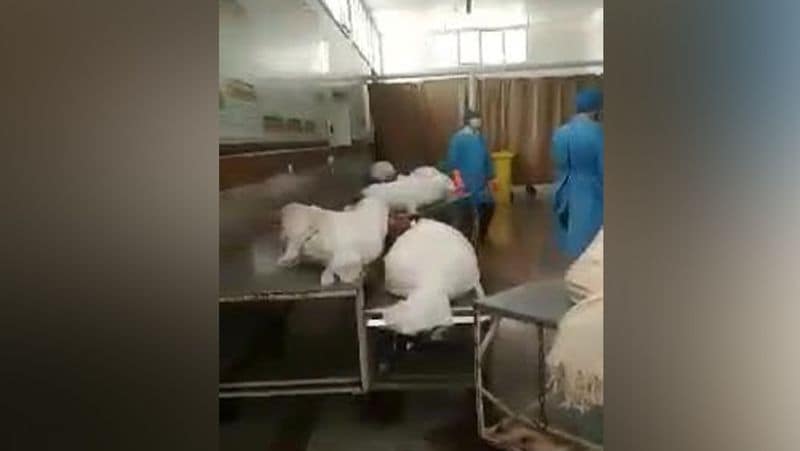 Shocking video of iran showing piles of dead bodies of corona virus infection goes viral kph