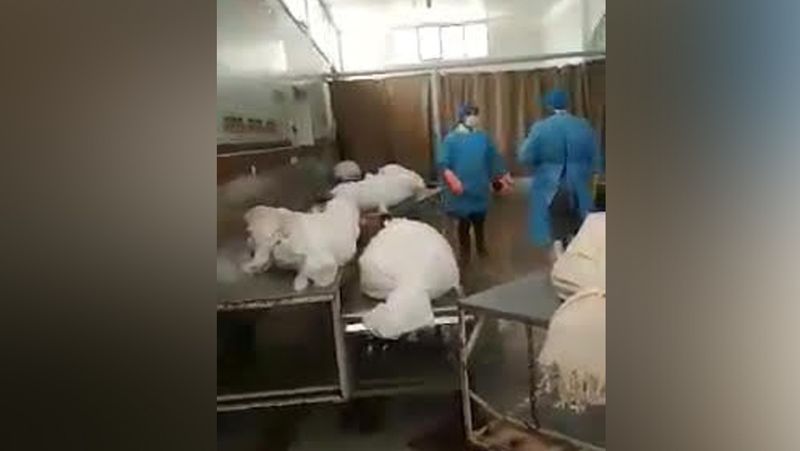 Shocking video of iran showing piles of dead bodies of corona virus infection goes viral kph