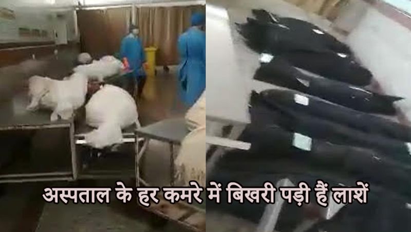 Shocking video of iran showing piles of dead bodies of corona virus infection goes viral kph