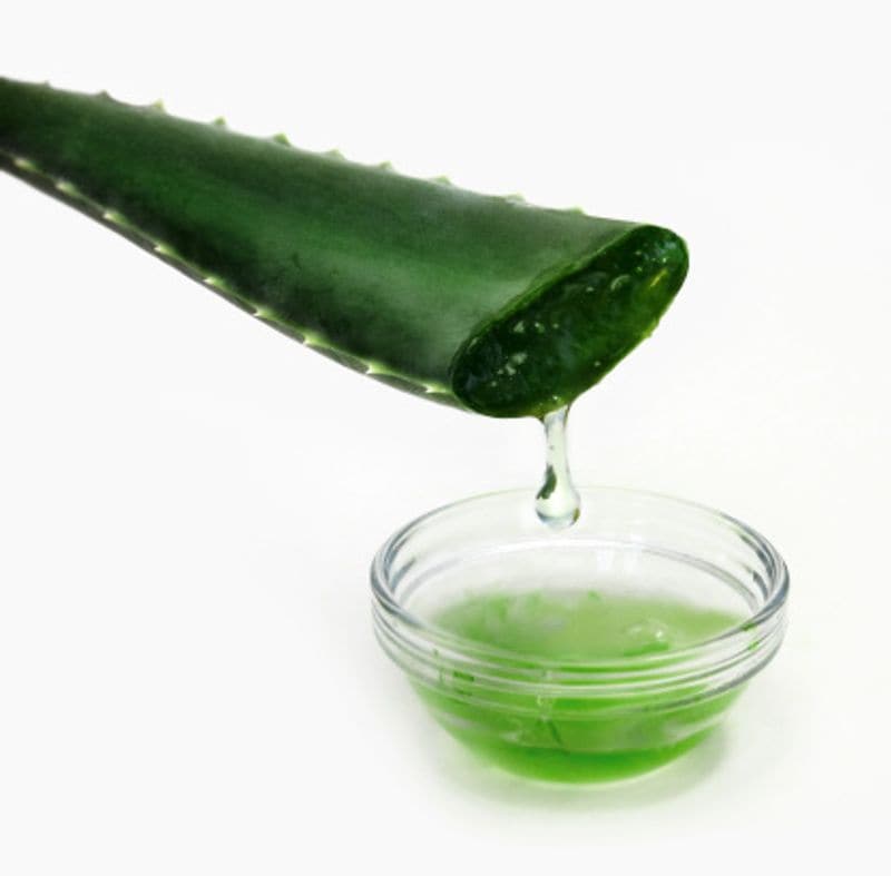 Do not take aloe vera If you Have These Health Problems