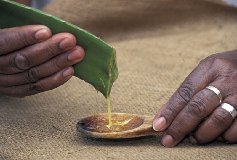 Do not take aloe vera If you Have These Health Problems
