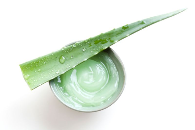 Do not take aloe vera If you Have These Health Problems