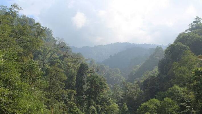 Mccluskieganj, the little England of Jharkhand will enthrall you Mccluskieganj, the little England of Jharkhand will enthrall you