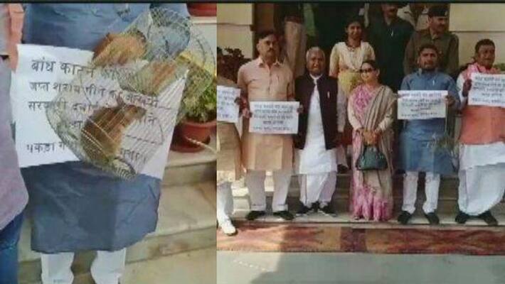 MLAs bring mouse in Bihar Assembly as punishment MLAs bring mouse in Bihar Assembly as punishment