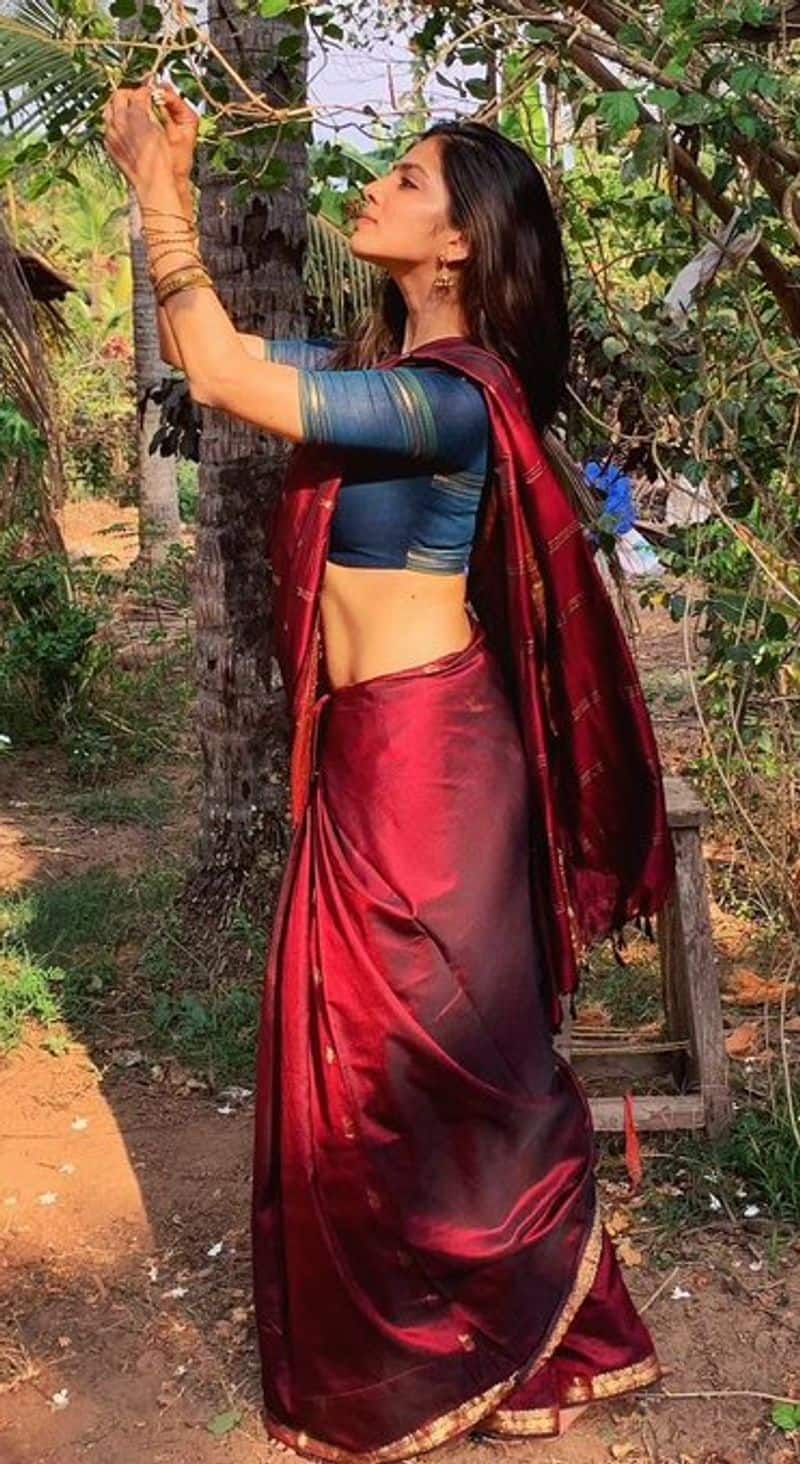 Master Movie Heroine Malavika Mohanan Hot Saree Photo Shoot Going Viral