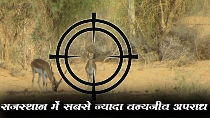 Rajasthan number 1 in wildlife crime,CAG report revealed kpm Rajasthan number 1 in wildlife crime,CAG report revealed kpm